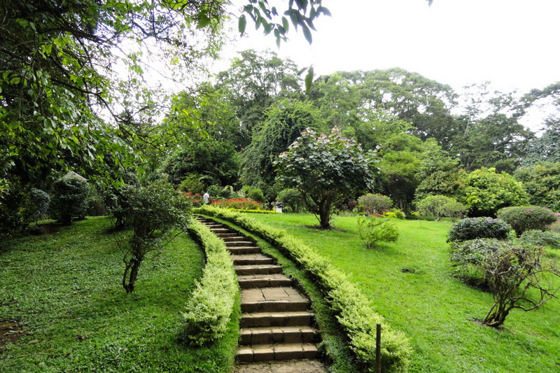 Sri Lanka, Kandy, Royal Botanical Garden